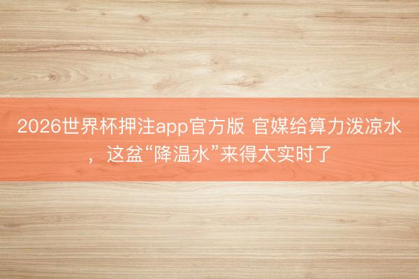 2026世界杯押注app官方版 官媒给算力泼凉水，这盆“降温水”来得太实时了