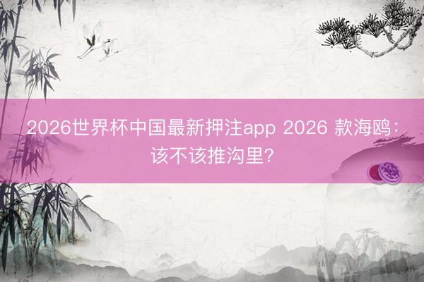 2026世界杯中国最新押注app 2026 款海鸥：该不该推沟里？