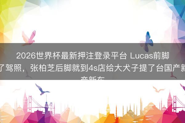 2026世界杯最新押注登录平台 Lucas前脚考了驾照,张柏芝后脚就到4s店给大犬子提了台国产新车