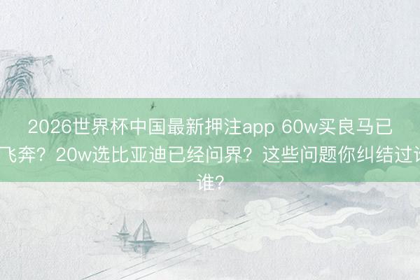 2026世界杯中国最新押注app 60w买良马已经飞奔？20w选比亚迪已经问界？这些问题你纠结过谁？