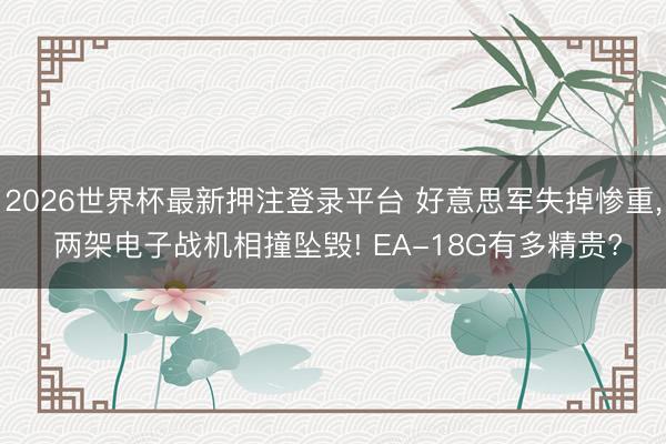 2026世界杯最新押注登录平台 好意思军失掉惨重， 两架电子战机相撞坠毁! EA-18G有多精贵?