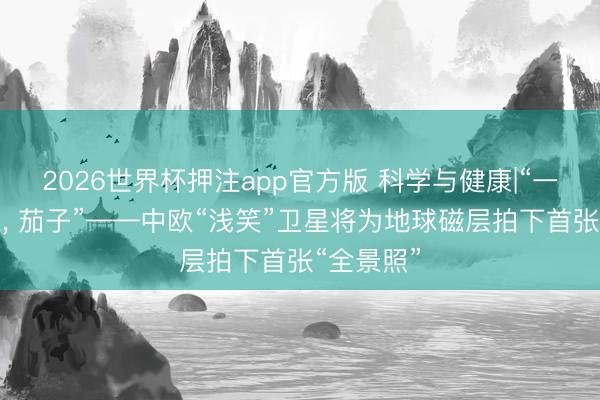 2026世界杯押注app官方版 科学与健康|“一、二、三， 茄子”——中欧“浅笑”卫星将为地球磁层拍下首张“全景照”