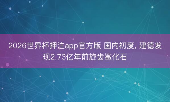 2026世界杯押注app官方版 国内初度， 建德发现2.73亿年前旋齿鲨化石