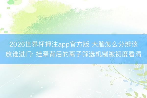 2026世界杯押注app官方版 大脑怎么分辨该放谁进门: 挂牵背后的离子筛选机制被初度看清