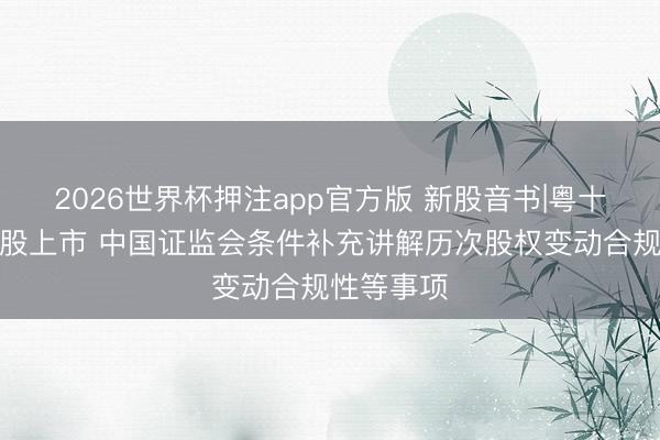 2026世界杯押注app官方版 新股音书|粤十数智拟港股上市 中国证监会条件补充讲解历次股权变动合规性等事项