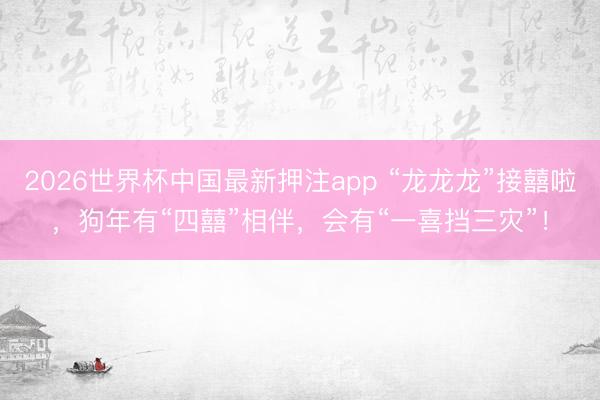 2026世界杯中国最新押注app “龙龙龙”接囍啦，狗年有“四囍”相伴，会有“一喜挡三灾”！