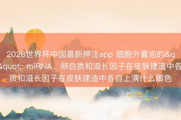 2026世界杯中国最新押注app 细胞外囊泡的"分子火器库": miRNA、卵白质和滋长因子在皮肤建造中各自上演什么脚色
