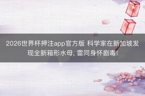 2026世界杯押注app官方版 科学家在新加坡发现全新箱形水母， 雷同身怀剧毒!