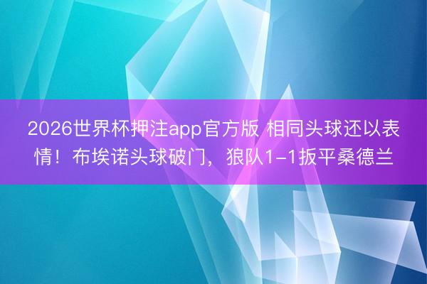 2026世界杯押注app官方版 相同头球还以表情！布埃诺头球破门，狼队1-1扳平桑德兰