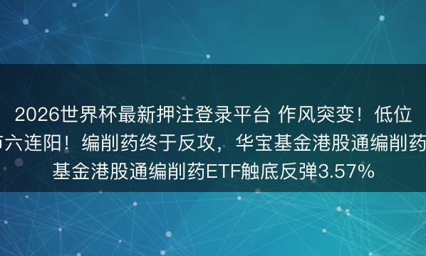 2026世界杯最新押注登录平台 作风突变！低位滥用崛起，电力逆市六连阳！编削药终于反攻，华宝基金港股通编削药ETF触底反弹3.57%