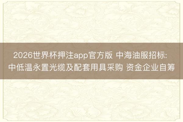2026世界杯押注app官方版 中海油服招标: 中低温永置光缆及配套用具采购 资金企业自筹