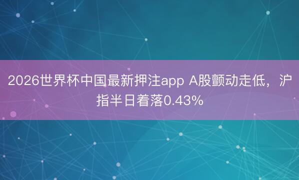 2026世界杯中国最新押注app A股颤动走低，沪指半日着落0.43%