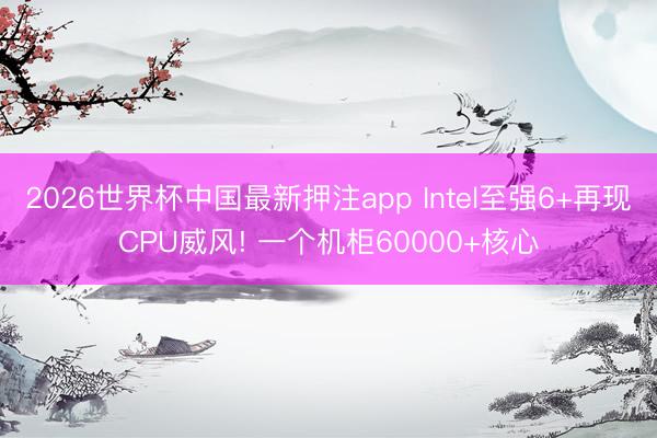 2026世界杯中国最新押注app Intel至强6+再现CPU威风! 一个机柜60000+核心
