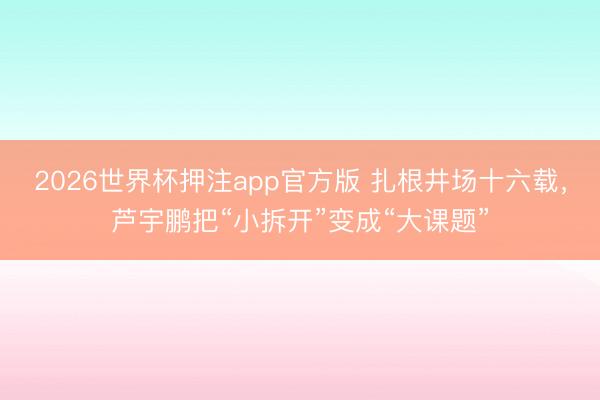 2026世界杯押注app官方版 扎根井场十六载，芦宇鹏把“小拆开”变成“大课题”