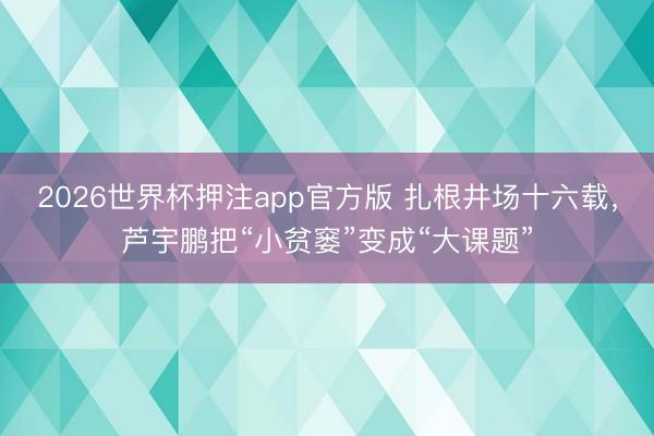 2026世界杯押注app官方版 扎根井场十六载,芦宇鹏把“小贫窭”变成“大课题”