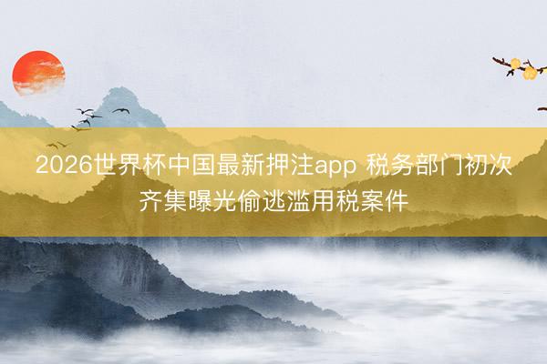 2026世界杯中国最新押注app 税务部门初次齐集曝光偷逃滥用税案件